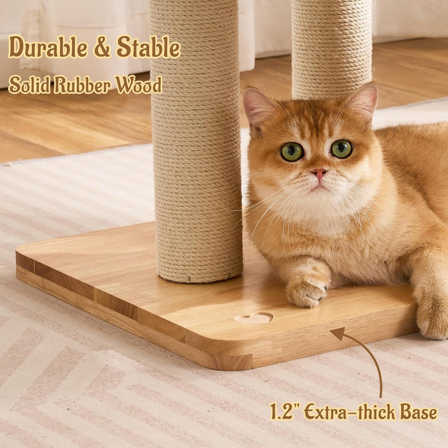 50-modern-cat-tree-for-indoor-cats-small-to-medium-solid-wood-cat-tower-with-sisal-scratching-posts-cat-scratcher-cardboard-cozy-cat-beds-hidden-cat-condo-multi-level-cat-furniture