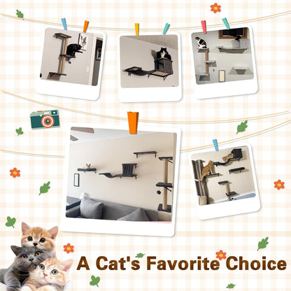 6-In-1 Cat Wall Shelves for Indoor Cats, Wall Mounted Furniture with Bed, Cave, Perch & Scratching Post, Multi-Level Climbing System, Space-Saving Playground, Natural Wood Gray8
