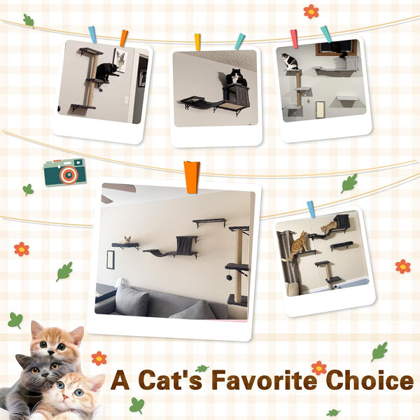 6-In-1 Cat Wall Shelves for Indoor Cats, Wall Mounted Furniture with Bed, Cave, Perch & Scratching Post, Multi-Level Climbing System, Space-Saving Playground, Natural Wood Gray8