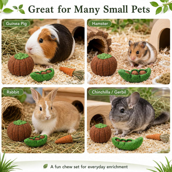 HERCOCCI 8Pcs Guinea Pig Chew Toys, Hamster Toys Prevent Excessive Teeth Growth Natural Vegetables Carrot and Timothy Grass for Guinea Pig Rabbit Chinchillas Gerbil6