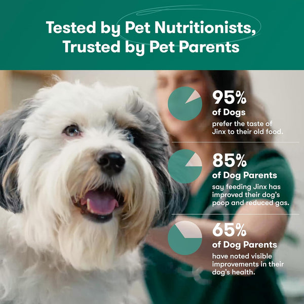 Jinx Dry Dog Food - Real Salmon, Brown Rice & Sweet Potato, 4Lb | Premium Kibble for Digestive Support & Healthy Immunity - No Fillers, All Lifestages (Puppy, Adult & Senior), Breeds & Sizes7
