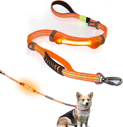 Heavy Duty Dog Leash and LED Light Set, LED Light with Nylon Stickers, Universal Glowing Accessories Easy to Attach Collar Leash and Harness, Safety LED Light up Band for Dogs at Night Walking10