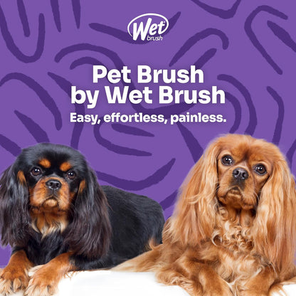 Wet Brush Ultimate Dual-Sided Detangling Brush - Ultra Soft Intelliflex Bristles, Removes Loose Hair & Dirt for Dogs, Cats, Rabbits - Teal6