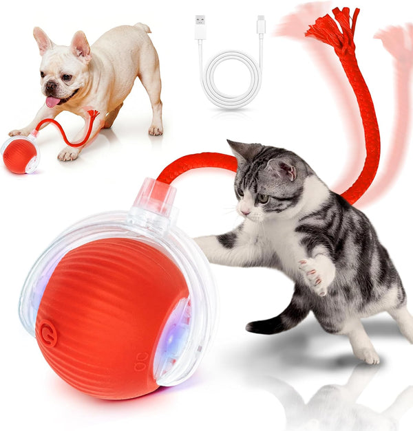 Cat Toys for Indoor Cats Smart Automatic Bal Moving Chase Dogs Toy, Red | Ball Rolling for Bored Kitten Pet, Upgraded Speedy Moving Chase Dogs Toy1