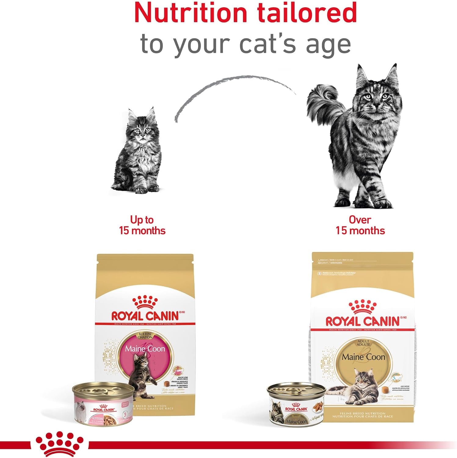 royal-canin-feline-breed-nutrition-maine-coon-kitten-dry-cat-food-3-lb-bag
