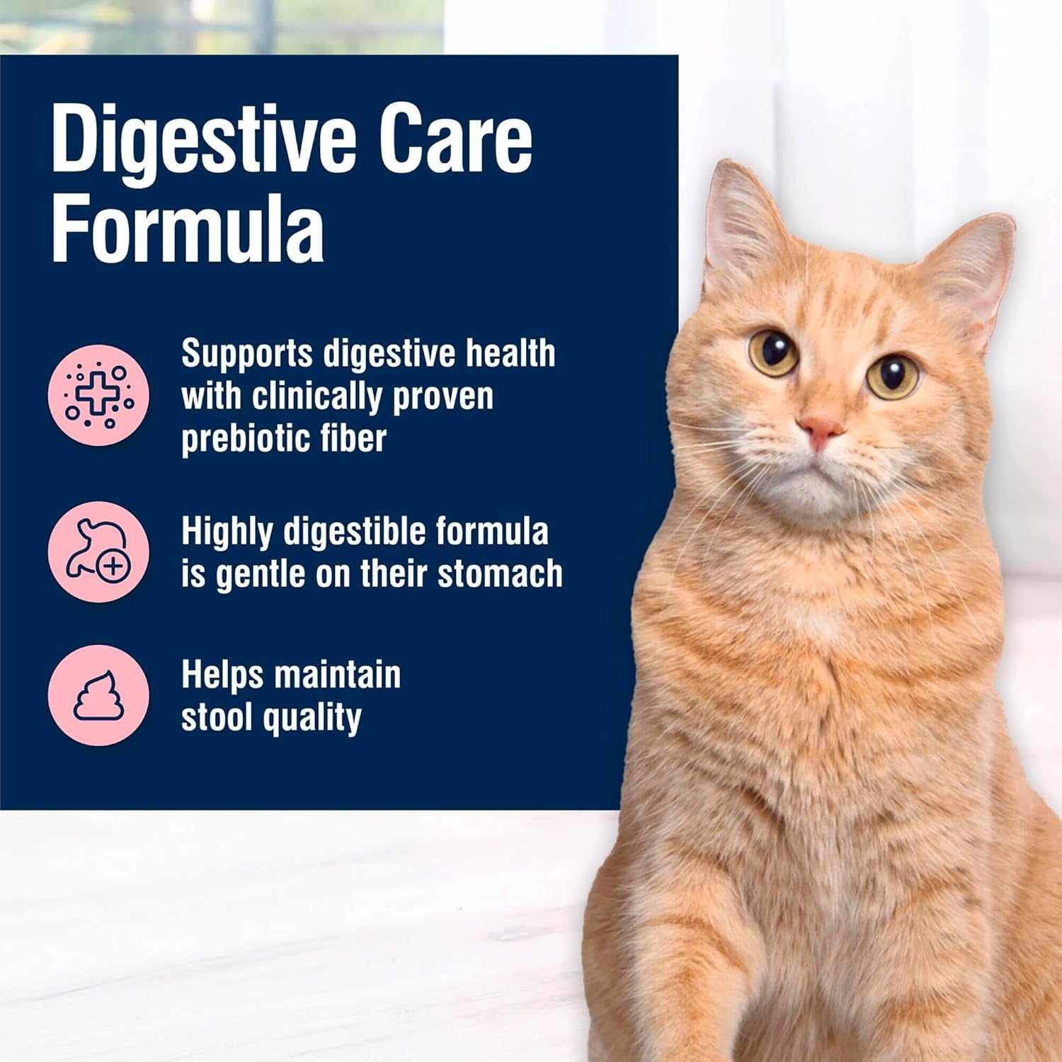blue-buffalo-true-solutions-digestive-care-natural-dry-cat-food-for-adult-cats-chicken-3-5-lb-bag