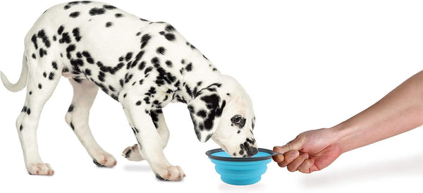 Dexas Popware for Pets Collapsible Travel Cup, Large, Gray/Blue2