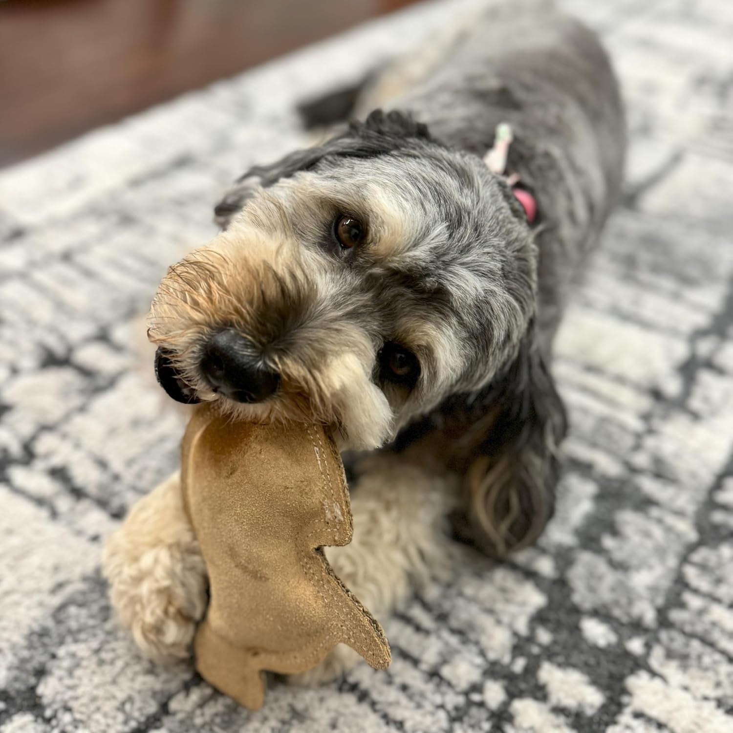 spot-dura-fused-leather-rabbit-dog-toy-durable-real-leather-jute-chew-toy-with-squeaker-double-stitched-for-moderate-chewers-small-medium-dogs-7-5in