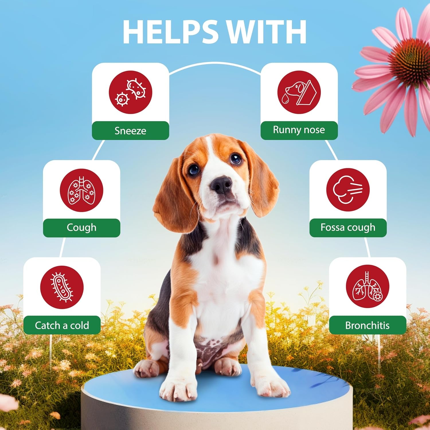 kennel-cough-drops-for-dogs-cats-cough-relief-dry-and-wet-pet-cough-allergy-relief-for-dogs-of-all-breeds-sizes