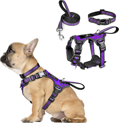 WINSEE Pet Harness Collar and Leash Set, All-In-One Reflective Dog Harness No Pull with Adjustable Buckles for Puppies, Small, Medium, Large, and Extra-Large Dogs (Large, Pink)22