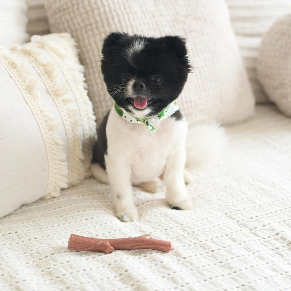 SPOT Bam-Bones plus Branch -Bamboo Fiber & Nylon, Durable Long Lasting Dog Chew for Aggressive Chewers – Great Toy for Adult Dogs & Teething Puppies under 60Lbs, Non-Splintering, 5.75In, Beef Flavor10