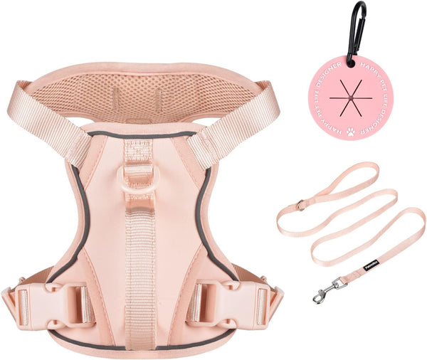 Petmolico No Pull Cute Dog Harness Reflective, Light Blue, Small | Set Includes Leash & Waste Bag Holder, 2 Clips & Handle, Soft Comfy Fit, Adjustable, Ideal for Daily Walks & Travel6