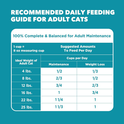 IAMS Proactive Health Indoor Dry Cat Food, Chicken & Turkey, 7 Lb | Vet-Recommended, Real Chicken #1 Ingredient, Proprietary Fiber Blend, Prebiotics for Healthy Digestion, Hairball Control10