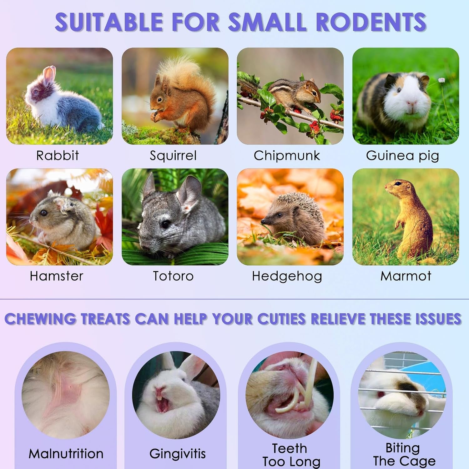katumo-timothy-hay-sticks-rabbit-chew-sticks-bunny-chew-toys-for-teeth-24pcs-healthy-rabbit-food-rabbit-chew-toys-for-teeth-suitable-for-rabbits-guinea-pigs-hamster-chinchilla-and-small-pets