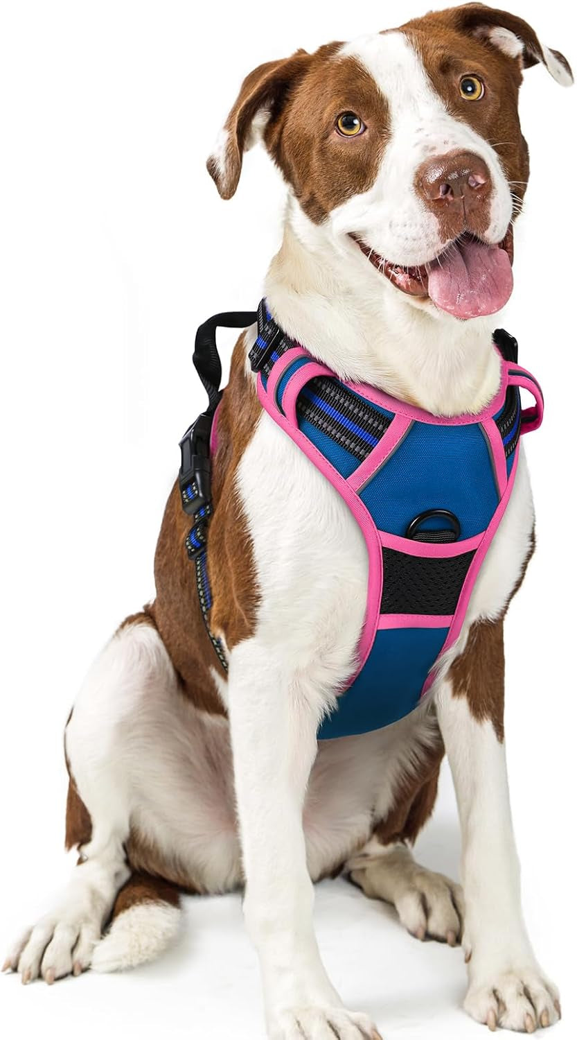 rabbitgoo-dog-harness-no-pull-for-large-dogs-with-2-leash-clips-pet-vest-no-choke-with-handle-adjustable-soft-padded-reflective-easy-control-for-walking-black-large