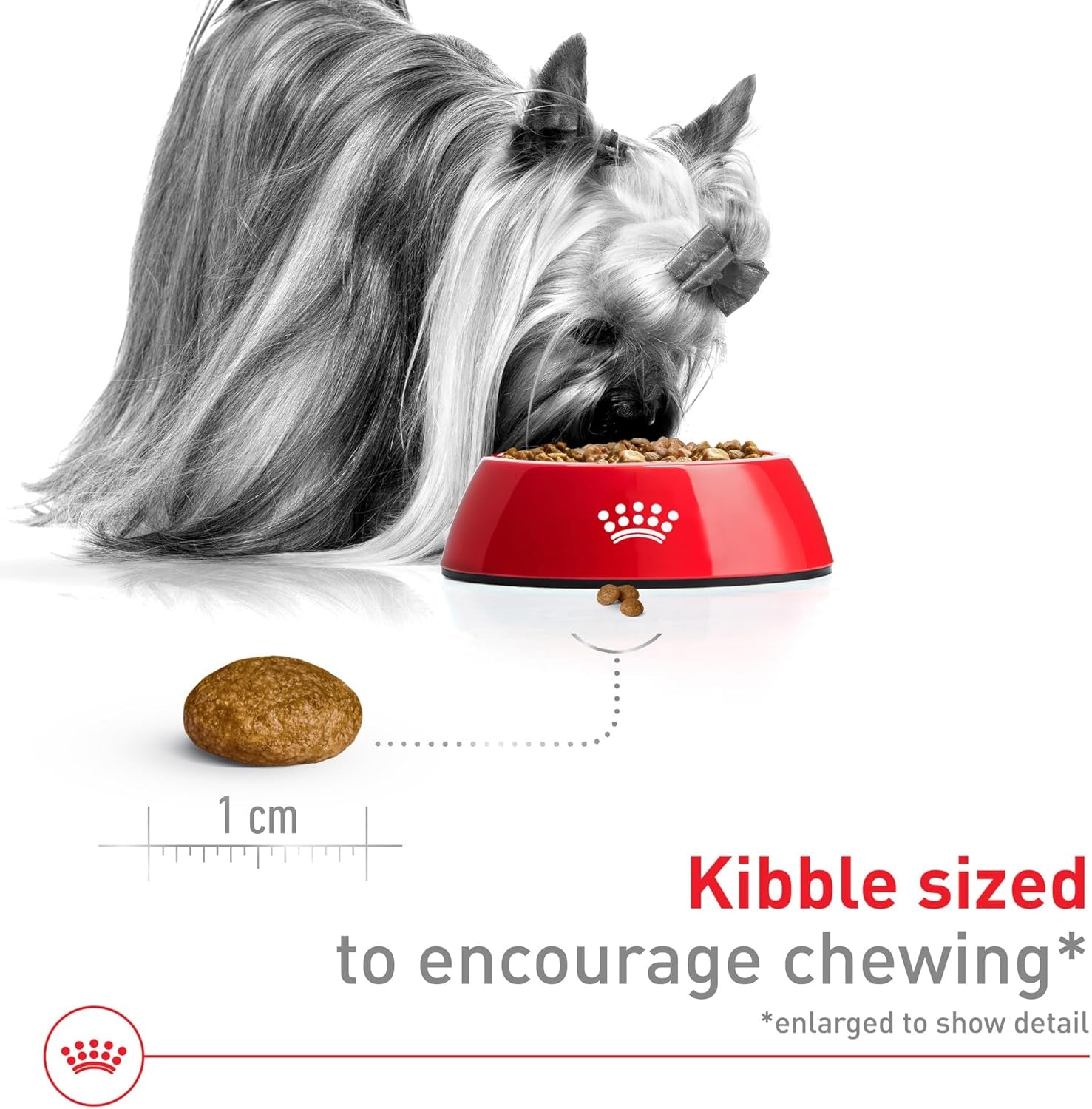 royal-canin-size-health-nutrition-x-small-7-adult-dry-dog-food-2-5-lb-bag
