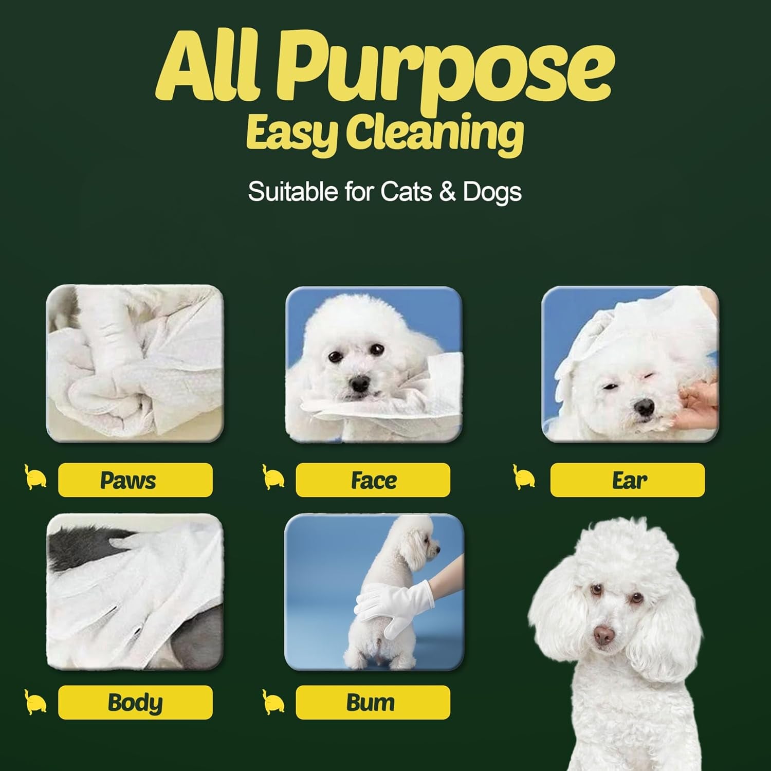 petazy-pet-wipes-for-dogs-and-cats-400-count-8x8in-hypoallergenic-deodorizing-dog-wipes-for-paws-ears-and-butt-xl-with-aloe-coconut-oil-lavender-scented-includes-4-grooming-glove-wipes