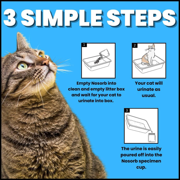 Creative Science Nosorb Non-Absorbent Cat Litter | 6 Oz | Easily Collect Urine Samples from Cats6