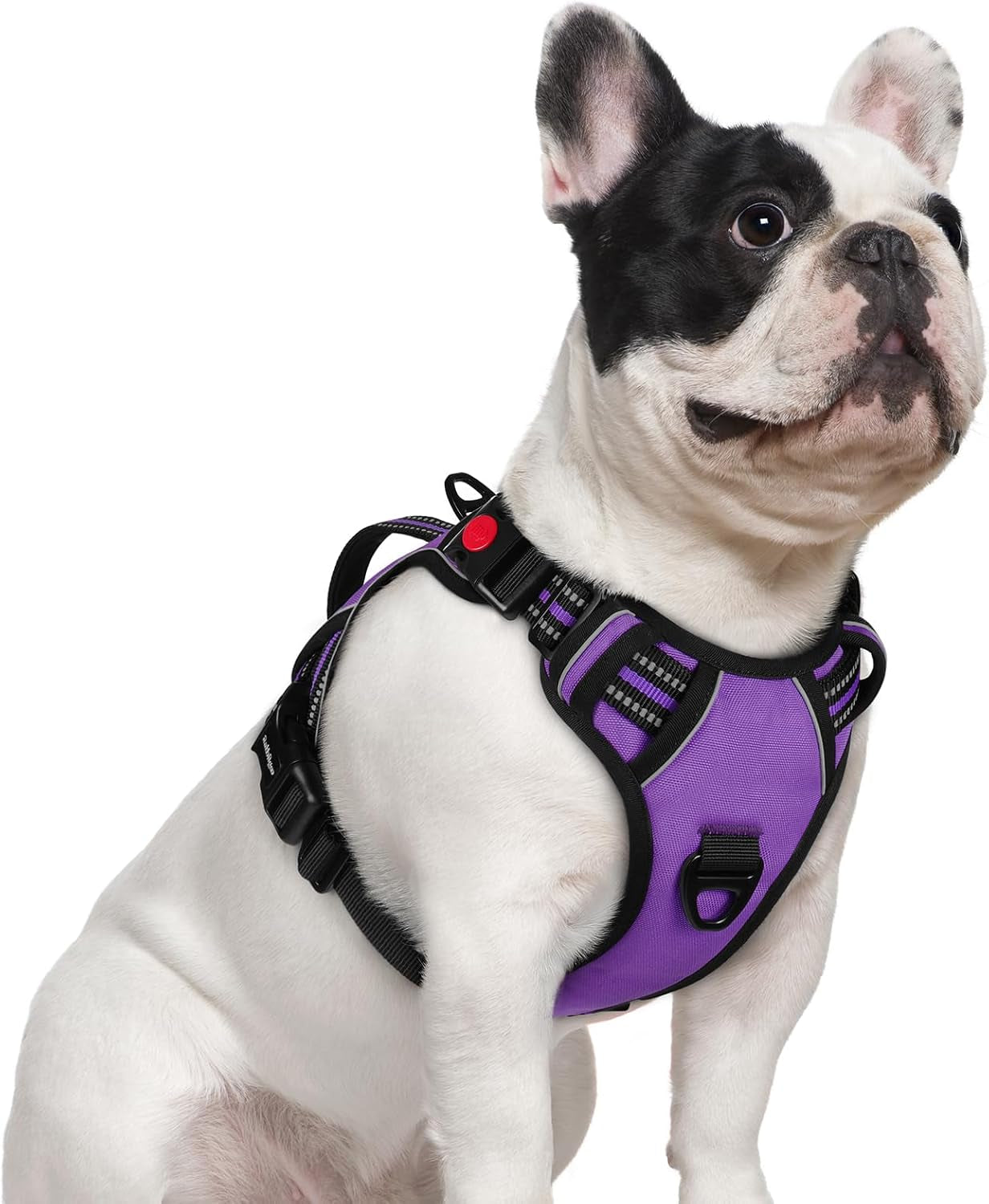 rabbitgoo-large-dog-harness-easy-wear-with-3-buckles-and-lift-handle-no-pull-with-front-clip-for-walking-adjustable-soft-padded-reflective-easy-control-pink-large
