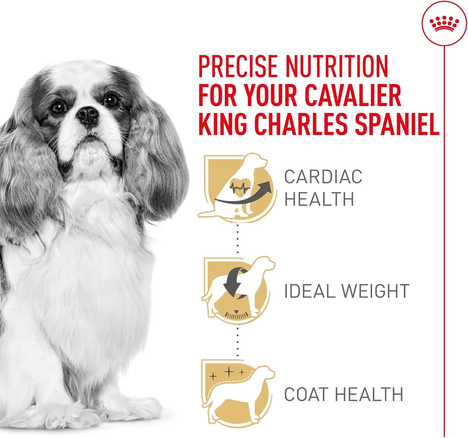 royal-canin-breed-health-nutrition-cavalier-king-charles-spaniel-adult-dry-dog-food-10-lb-bag-specialized-kibble-shape-supports-heart-health-formulated-for-breed-specific-needs-10-lb-resealable-bag