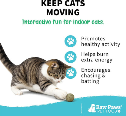 Raw Paws Catnip Balls for Cats (6-Count) - Interactive Indoor Cat Toy | Natural Compressed Natural Catnip - Cat Lick Balls - Catnip Roller Balls - Play & Enrichment Toy - Fresh Dried - No Additives4