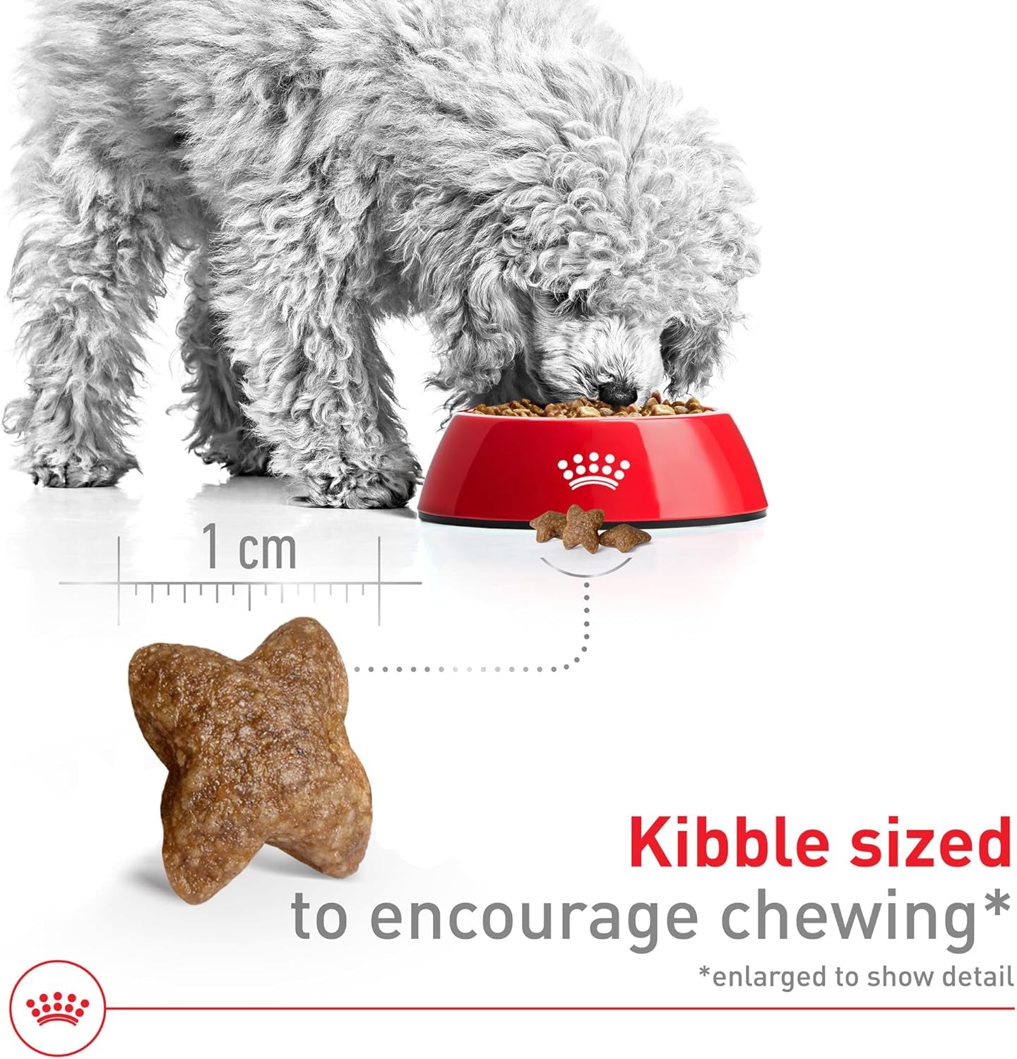 royal-canin-size-health-nutrition-small-adult-dry-dog-food-14-lb-bag