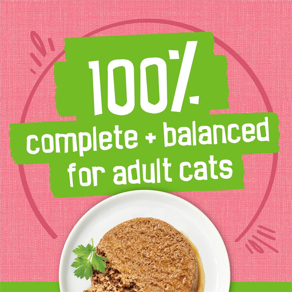 Purina Friskies Wet Cat Food Pate, Pate Salmon Dinner - (Pack of 24) 5.5 Oz. Cans4