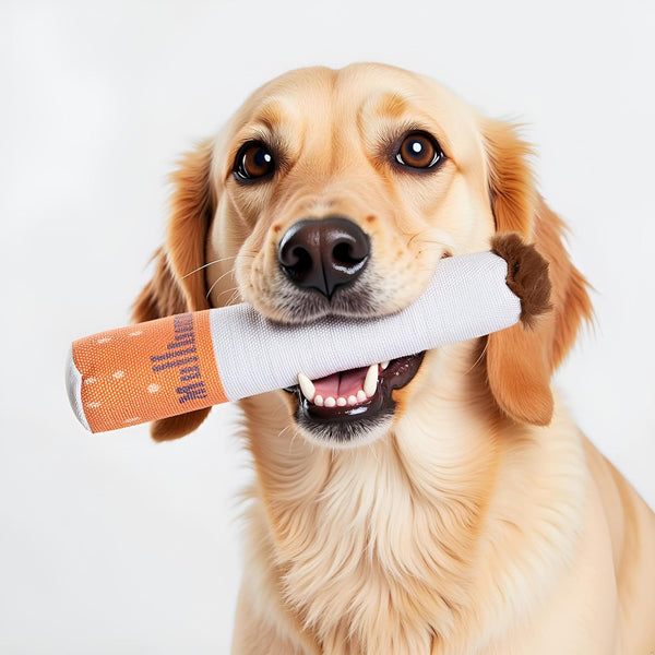 Nestpark Muttboro Doggy Cigs Funny Dog Toys - Parody Plush Squeaky Crinkle Interactive Dog Toy - Hide and Seek Treat Hiding Burrow Puzzle Toy for Stimulating Enrichment Activity6
