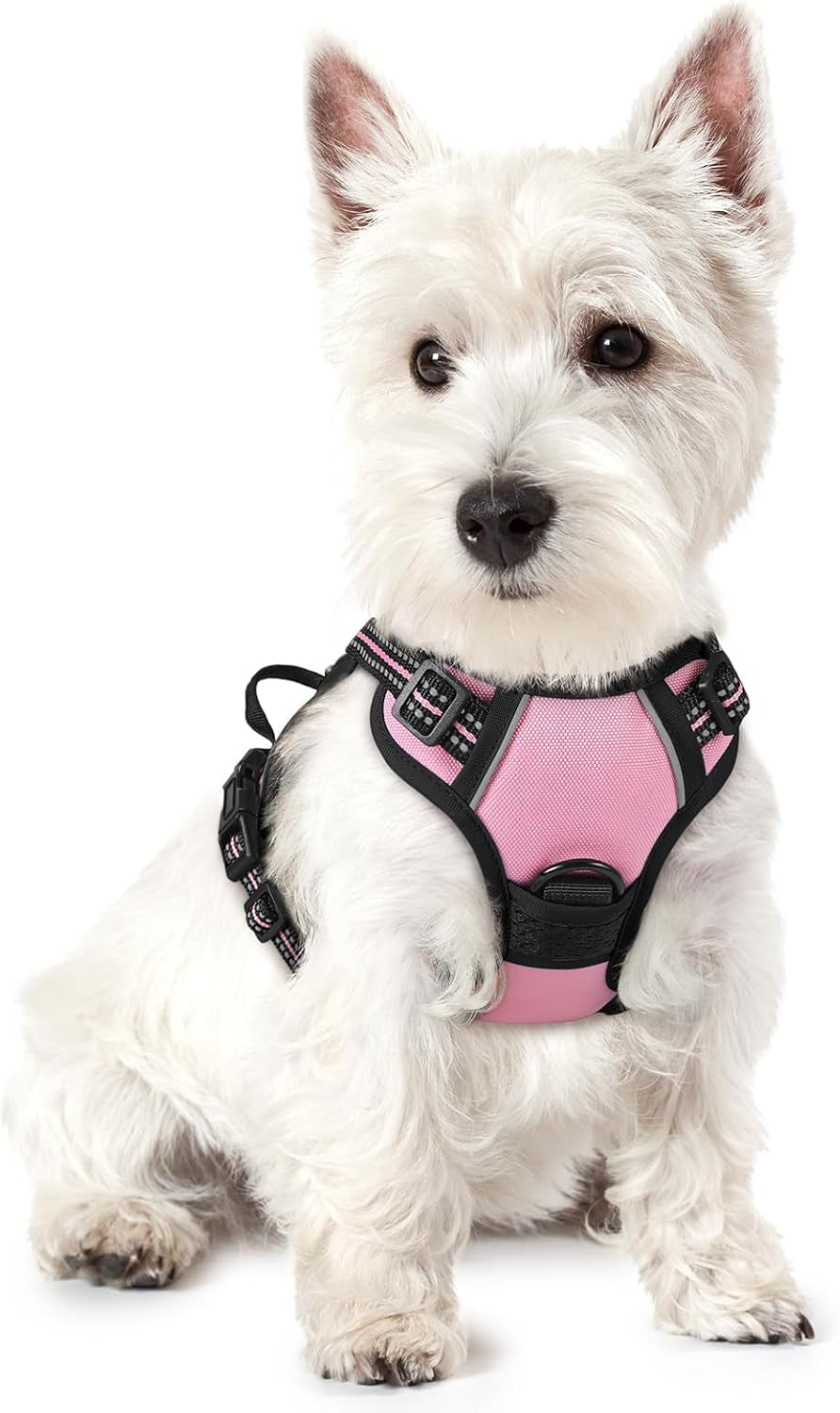rabbitgoo-dog-harness-no-pull-for-large-dogs-with-2-leash-clips-pet-vest-no-choke-with-handle-adjustable-soft-padded-reflective-easy-control-for-walking-black-large