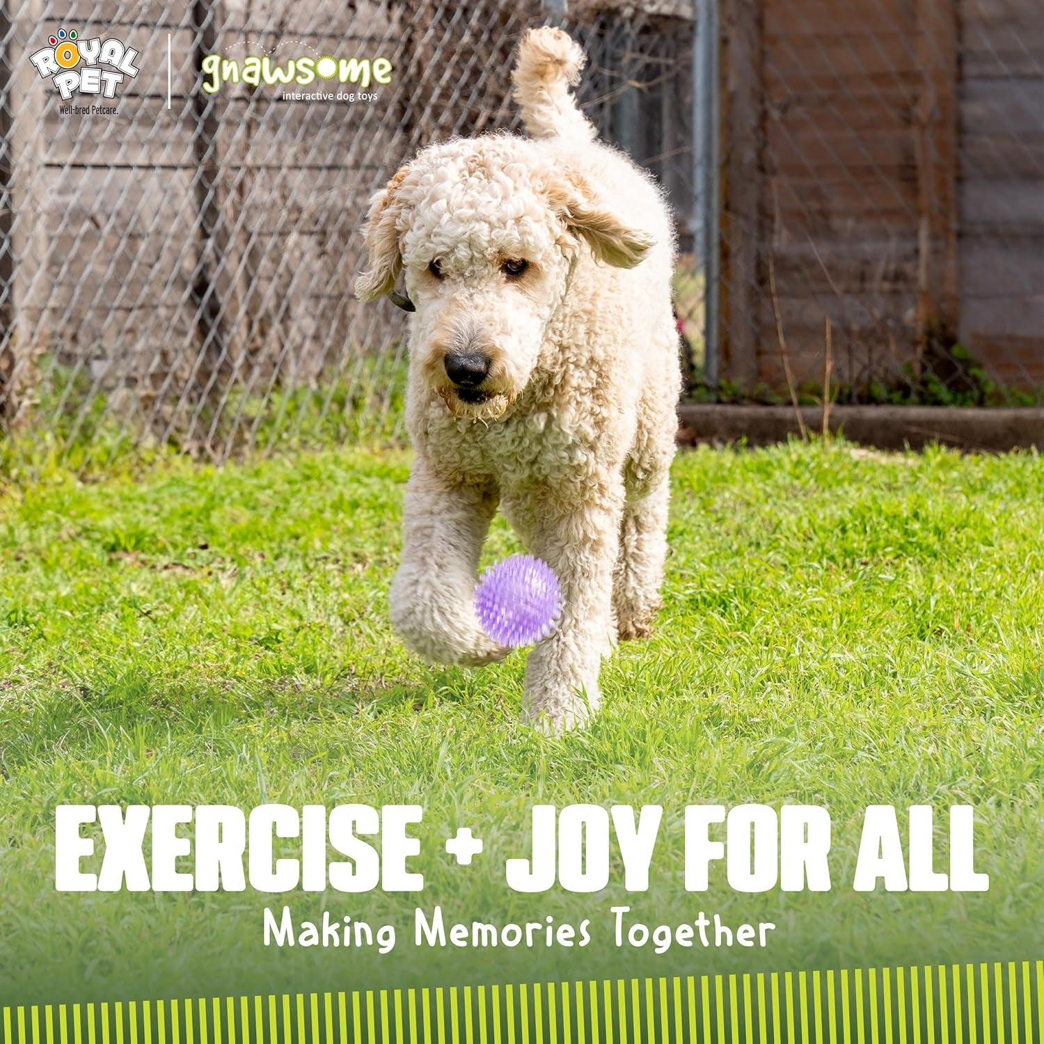 gnawsome-medium-squeaker-ball-dog-toy-medium-3-5-colors-will-vary-all-breed-sizes