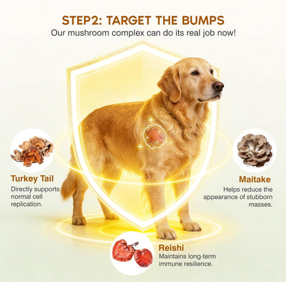 Turkey Tail Mushroom for Dogs,Senior Dog Supplement for Lumps, Bumps & Lipoma,Soft Chews with Reishi, Maitake, Turmeric & Astragalus,Supports Immune Health,Natural Chicken Flavor, 120 Count4