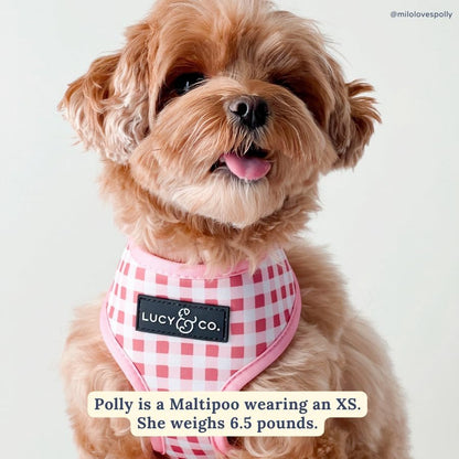 Lucy & Co. Reversible Dog Harness - Water-Repellent Neoprene, Dual-Print Design, Easy Swap Style, Adjustable Comfort Fit - Take a Bow Reversible Harness - Small5
