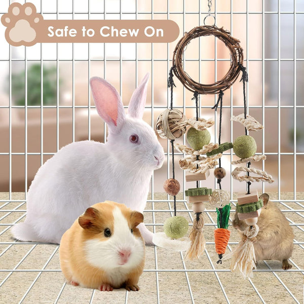 Bissap Bunny Chew Toy, Rabbits Cage Hanging Chew Toys and Treats Grapevine Wreaths Rattan Ring with Snacks for Guinea Pigs Chinchillas Hamsters Rats and Other Small Pets Teeth Grinding3