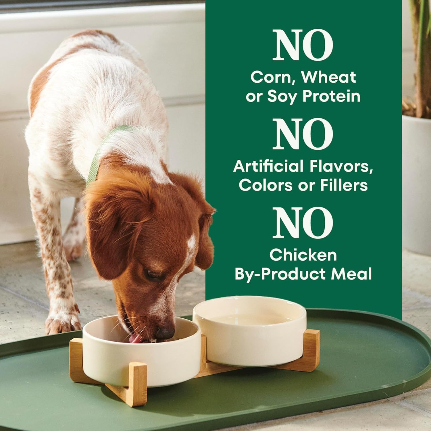 nutro-natural-choice-small-bites-dry-dog-food-lamb-rice-12-lb-non-gmo-real-lamb-1-ingredient-no-corn-wheat-soy-crafted-in-usa-supports-energy-bones-muscles-dental-health-skin