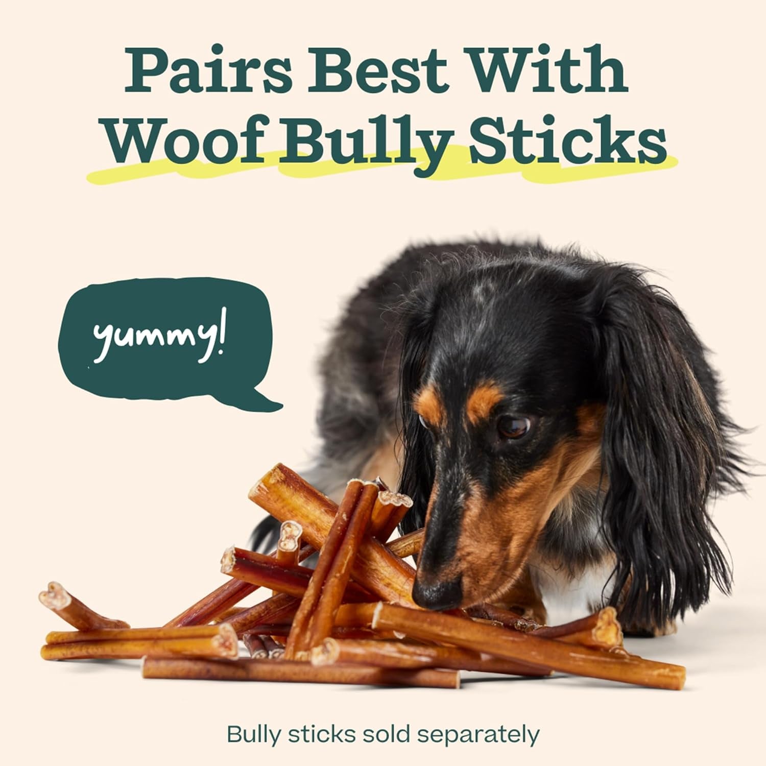 woof-bullysafe-bully-stick-holder-for-dogs-fits-dogs-10-lbs-secures-bully-sticks-extends-chew-time-easy-to-clean-reusable-design