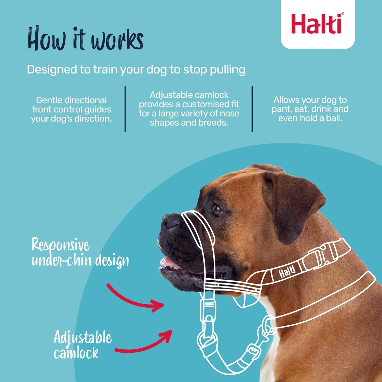 halti-optifit-headcollar-size-medium-halti-training-leash-size-large-black-combination-pack-stop-your-dog-pulling-on-the-leash-adjustable-with-padded-nose-band-suitable-for-medium-dogs