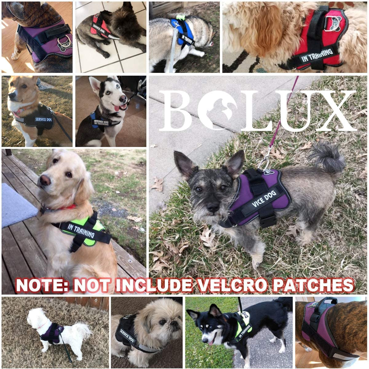 dog-harness-no-pull-reflective-dog-vest-breathable-adjustable-pet-harness-with-handle-for-outdoor-walking-no-more-pulling-tugging-or-choking-blue-s