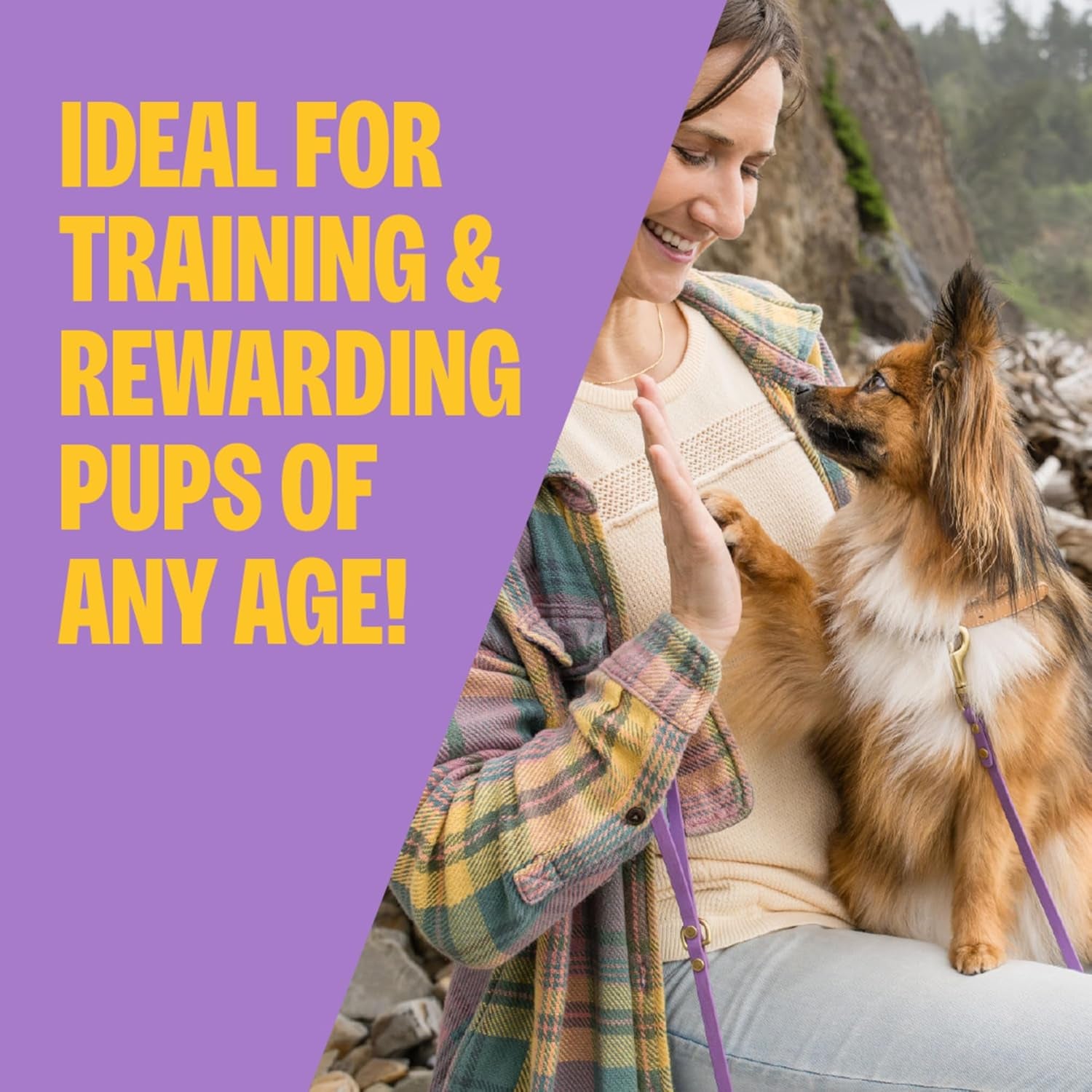 wellness-soft-puppy-bites-dog-training-treats-natural-grain-free-lamb-and-salmon-recipe-8-oz-bag