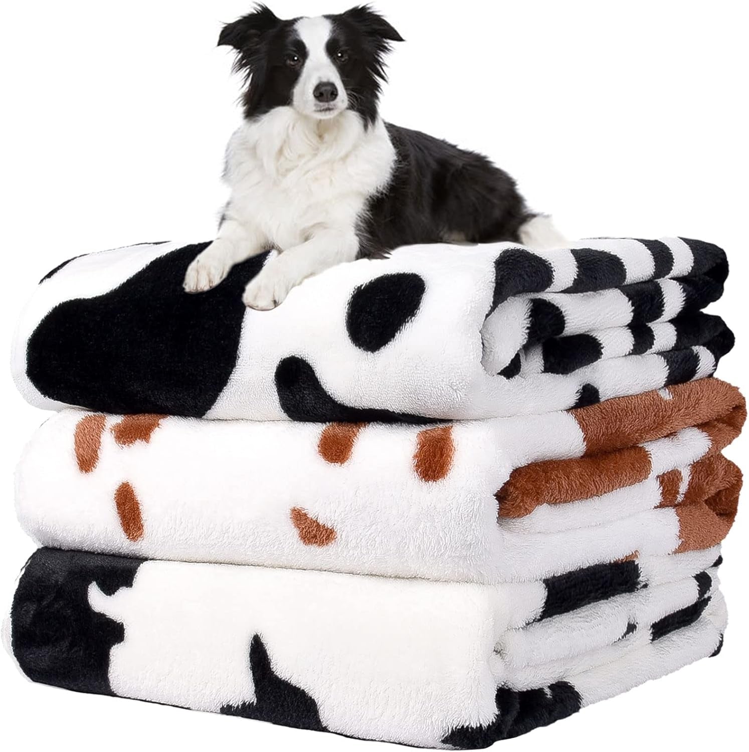 rezutan-dog-blankets-for-3-pack-large-medium-pet-cat-soft-fuzzy-washable-blanket-comfort-flannel-suitable-for-dogs-kennels-beds-sofas-furniture-gifts-puppy-essentials-41-x-31-inch-black