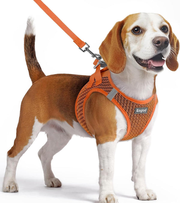 Eagloo Small Dog Harness and Leash Set, Step in Small Sized Puppy Pet Vest | Light, Soft, Breathable Air Mesh, Easy on and off with Hook & Loop, Reflective for Safe Walking, Pink, S61