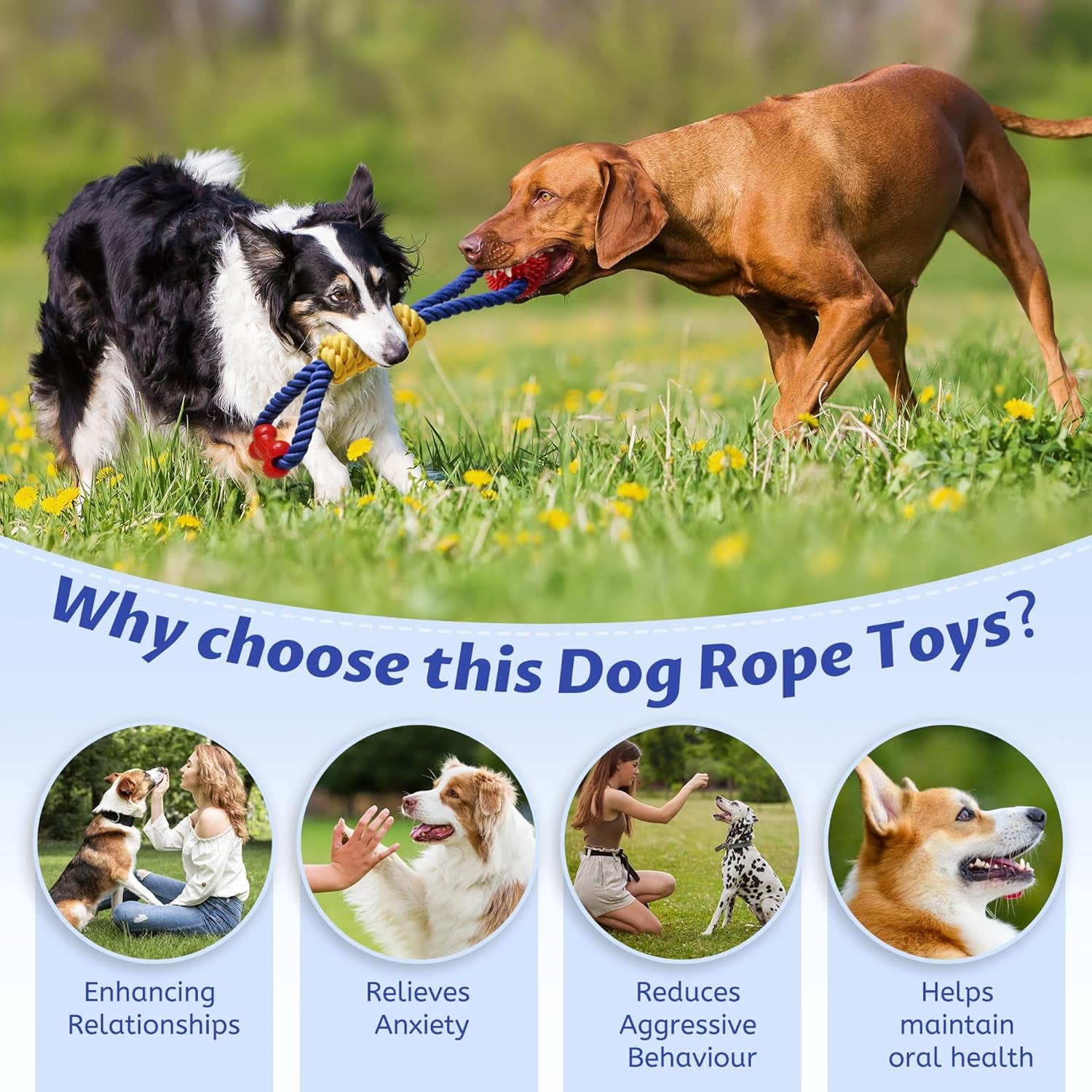 aitmexcn-interactive-dog-rope-toys-tug-of-war-tough-dog-toys-for-large-medium-small-dogs-100-cotton-chew-toys-for-boredom-pull-ball-rope-teeth-cleaning