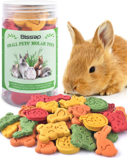 Bissap 32PCS Bunny Chew Toys, Mixed Natural Timothy Hay Pumpkin Strawberry Carrot Chinchillas Chewing Toys and Treats for Rabbit Bunny Guinea Pig Hamster Gerbil and Other Small Animals Molar Snacks1