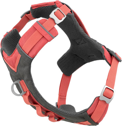 Kurgo Journey Air Dog Harness, Blue, Small | Padded Chest, Ripstop Outer & Breathable Mesh, Back Assist Handle, Rust-Free Aluminum Hardware, Reflective Trim8
