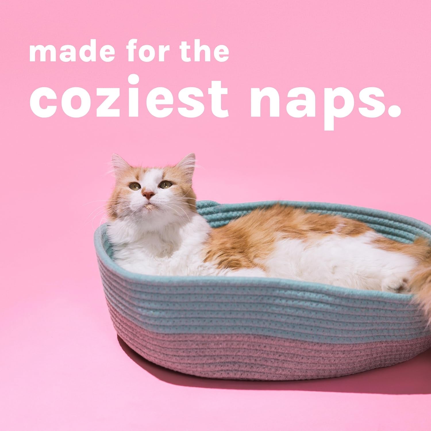 kitty-city-cat-bed-cotton-14-w-x-19-l-x-5-h-pack-of-2