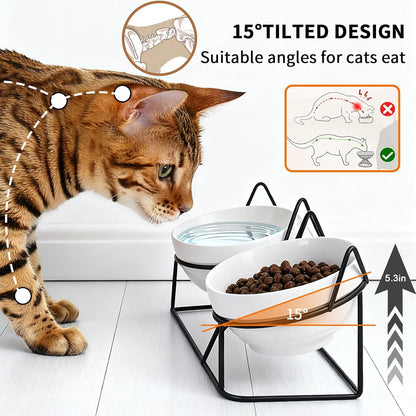 Elevated Cat Food Bowl,Ceramic Raised Water Bowl for Indoor Cats, 15°Tilted Metal Stand anti Vomiting and Protect Spines,Whisker Fatigue Feeding Dishes,Non-Slip and Dishwasher Safe2
