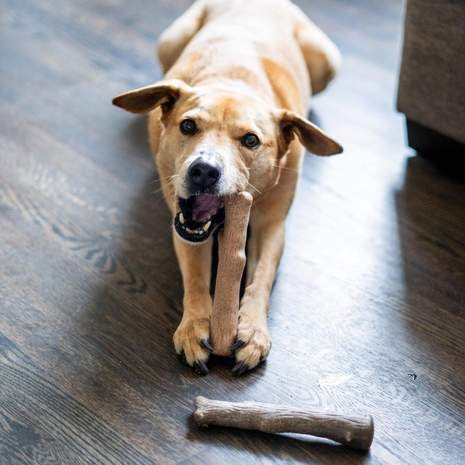 dogwood-calming-dog-chew-toy-real-wood-blend-moderate-chewers-medium-7-5-2-pack-natural-hemp-flavors