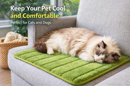 Washable Pet Bed Mat (23.6 X 15.8 Inch) – 3-Pack for Indoor/Outdoor Use, Soft Sleeping Mat for Cats, Small Pets, Kitty, Puppy, Rabbit – Cozy Bedding Pads for Pets up to 20Lbs3
