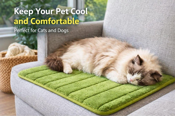 Washable Pet Bed Mat (23.6 X 15.8 Inch) – 3-Pack for Indoor/Outdoor Use, Soft Sleeping Mat for Cats, Small Pets, Kitty, Puppy, Rabbit – Cozy Bedding Pads for Pets up to 20Lbs3