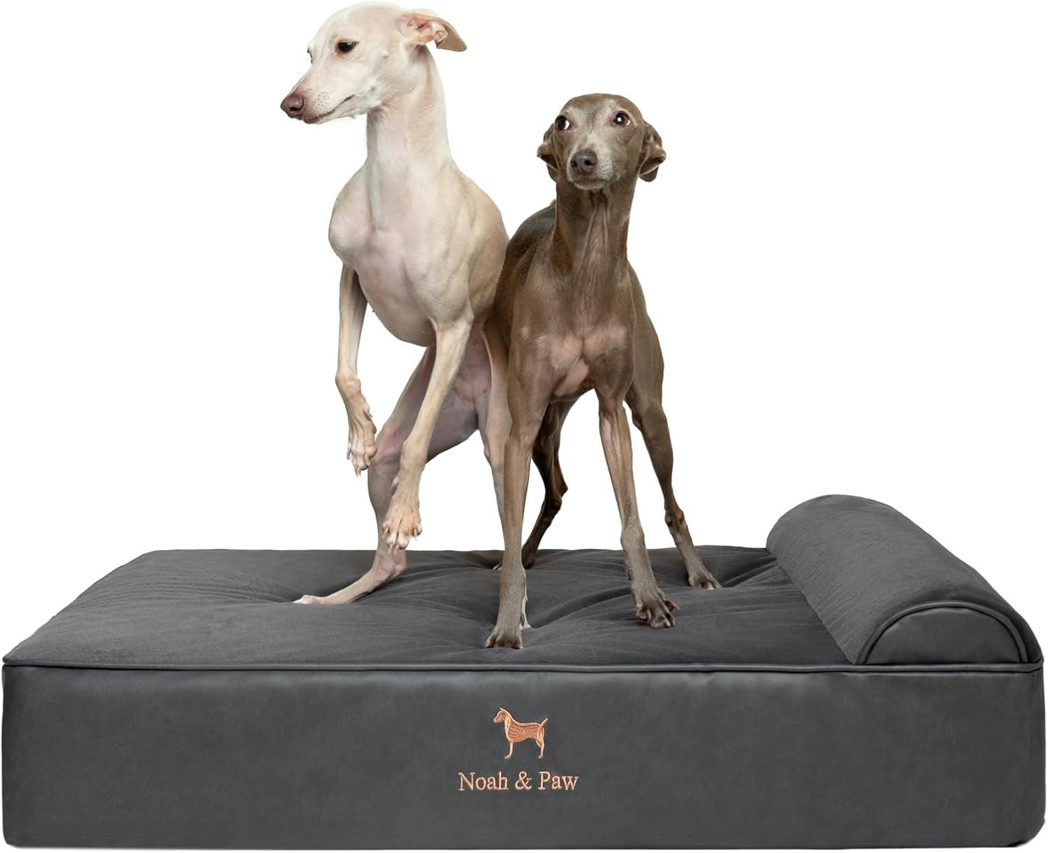 noah-paw-large-dog-bed-35x25x8-7-inch-orthopedic-dog-beds-eggshell-memory-foam-infused-with-cooling-gel-water-resistant-machine-washable-includes-inner-cover-velvet-collection