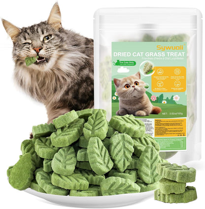 100G/3.52Oz Cat Grass Treats, Cat Grass Teething Stick for Hairball Remove and Teeth Cleaning, Edible Cats-Grass Stick Snack1